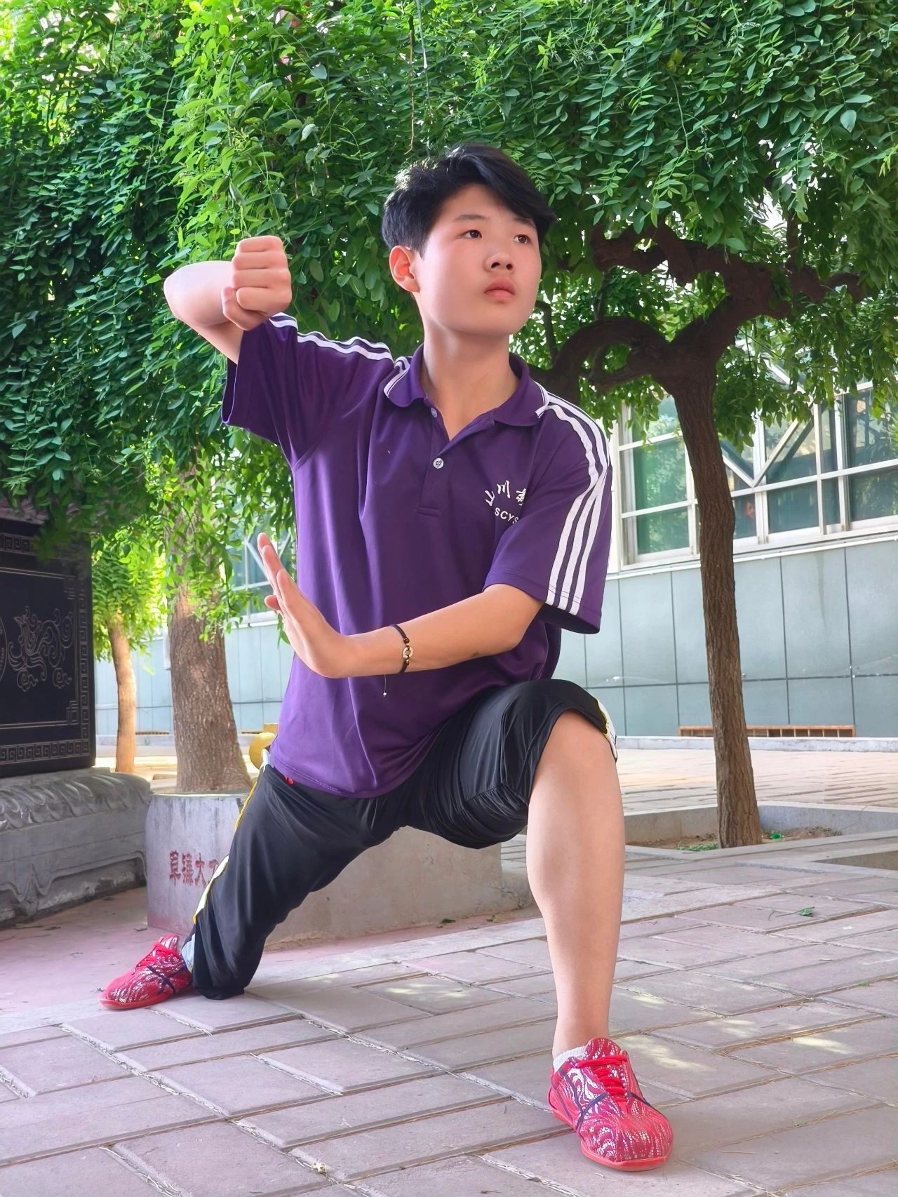 燕赵少年张耀天少林小龙武校的“变形记”