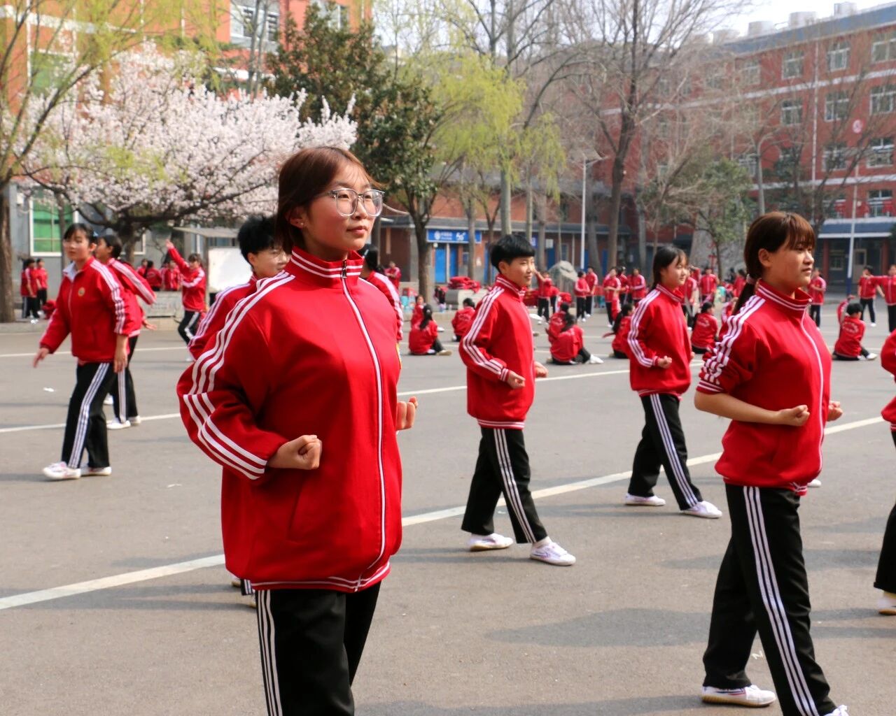 少林小龙武校