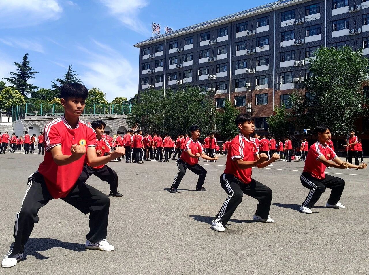 少林小龙武校