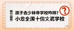 孩子去少林学校咋样?「正宗少林功夫」