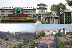 我想学武，去河南的哪家少林文武学校好呢？